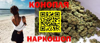 бошки Дмитров