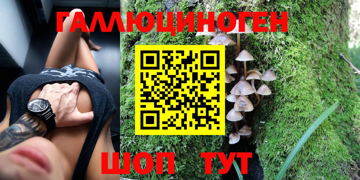 Павлово  купить закладку  Вход с VPN  Псилоцибиновые грибы MAGIC MUSHROOMS 