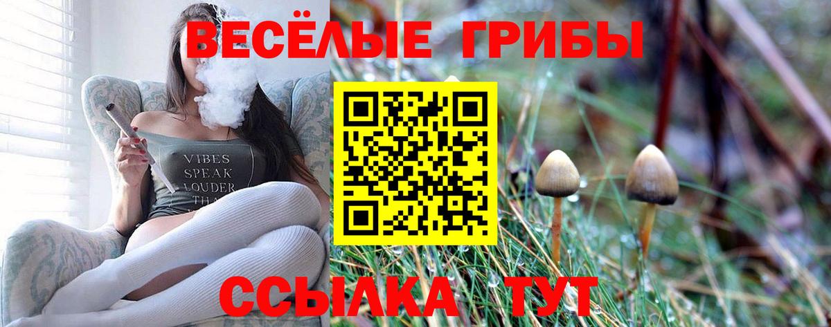 Псилоцибиновые грибы прущие грибы Павлово